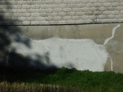 DSCN5452