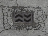 DSCN7267
