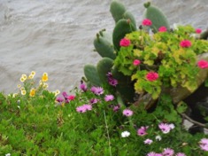 DSCN8962