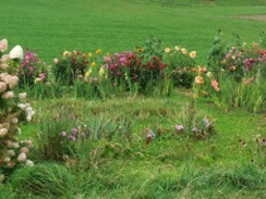 fleurs-self-sottens