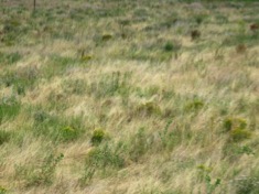IMG_0415
